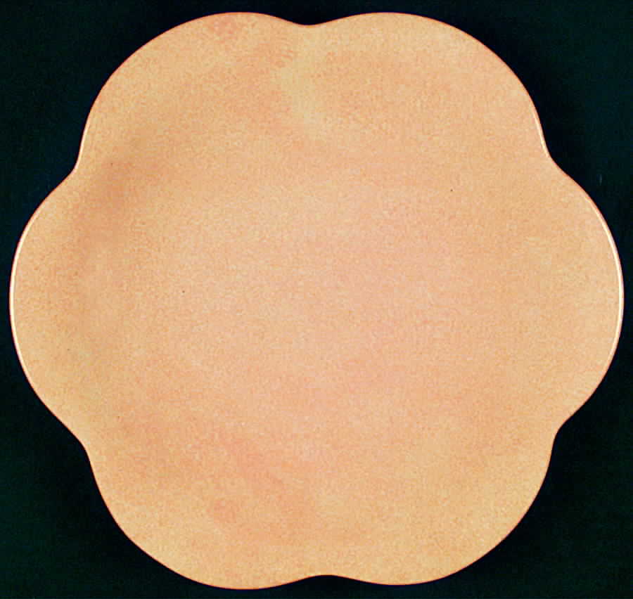 SAH4 Salad Plate by Samuel Heath-1