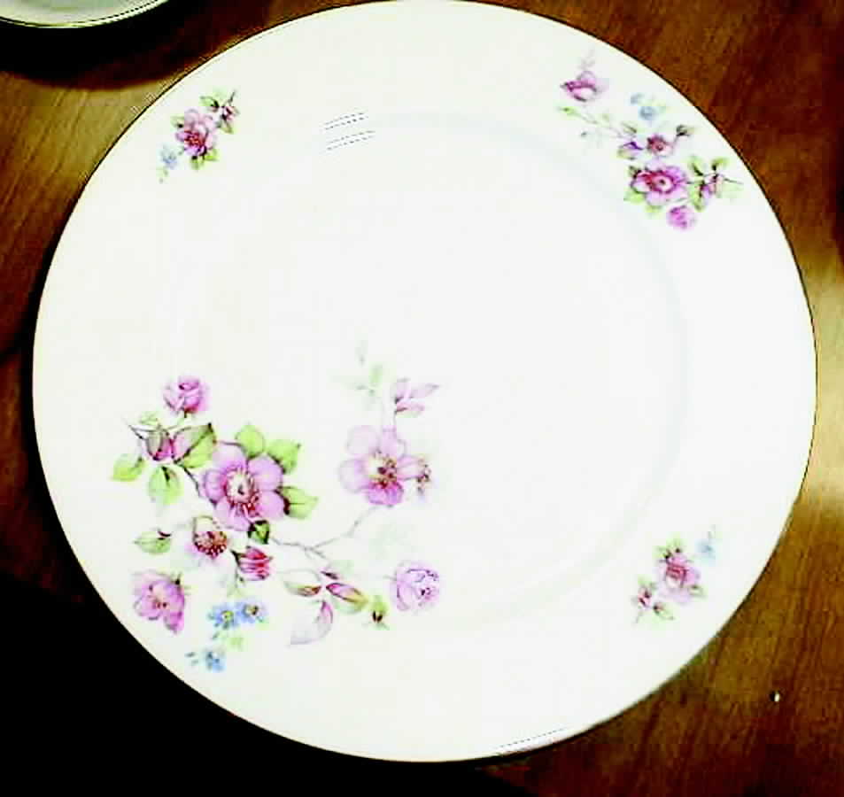 SLT116 Dinner Plate by Seltmann-1