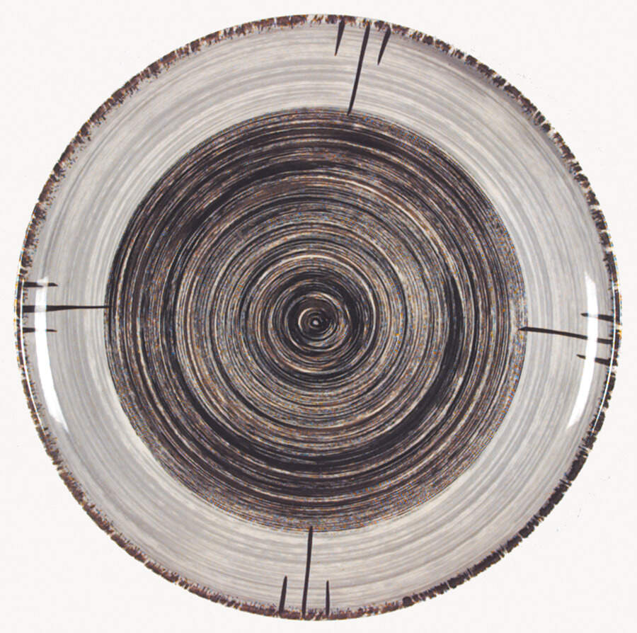 Rca Whirlpool Dinner Plate by Stetson-1