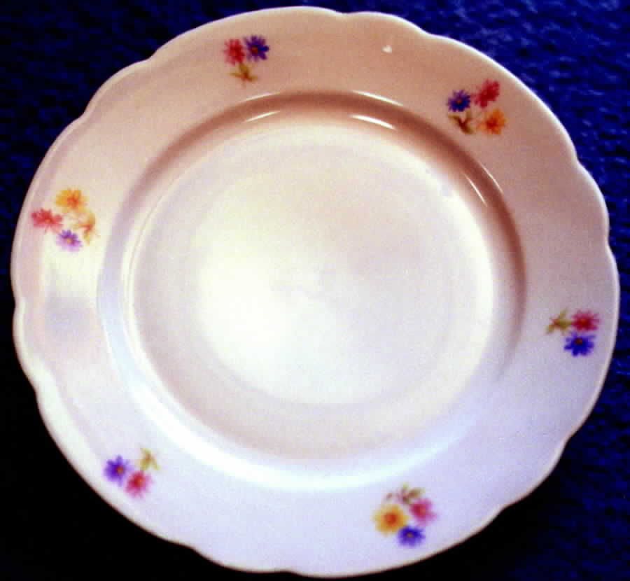 SLT118 Dinner Plate by Seltmann-1