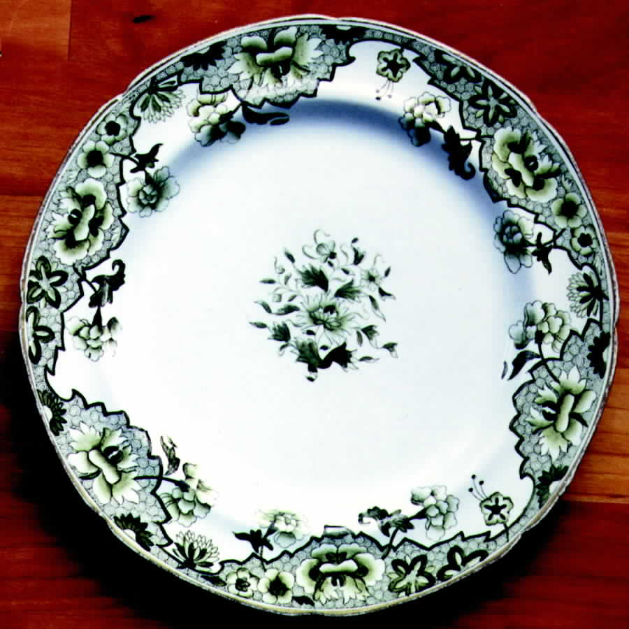 3927 Dinner Plate by Spode-1