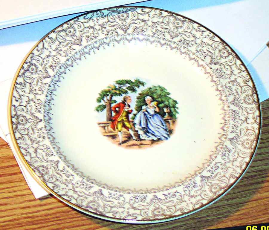 SLM154 Dinner Plate by Salem-1