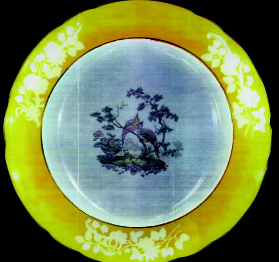 R8622 Dinner Plate by Spode-1