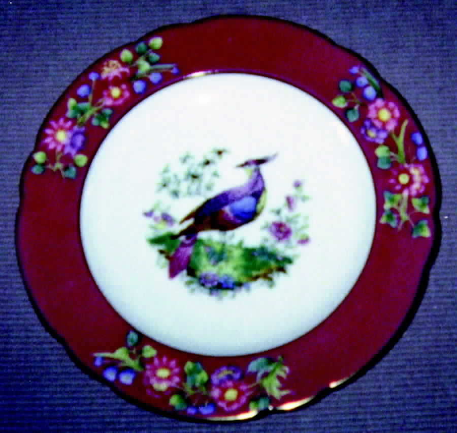 Y1257 Dinner Plate by Spode-1