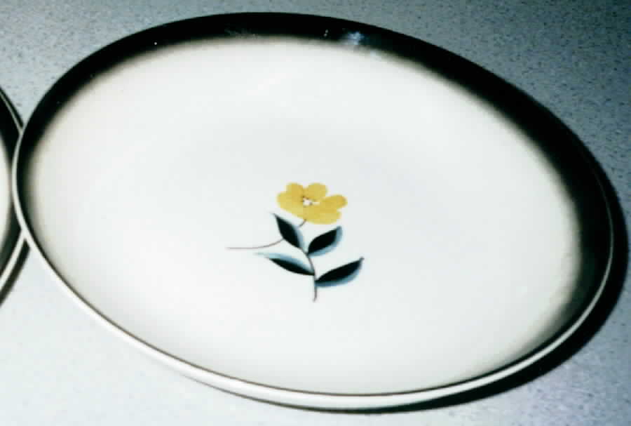 STT141 Dinner Plate by Stetson-1