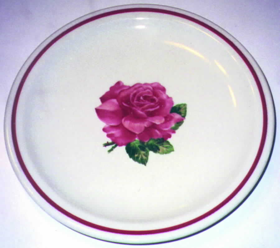 SY332 Dinner Plate by Syracuse-1