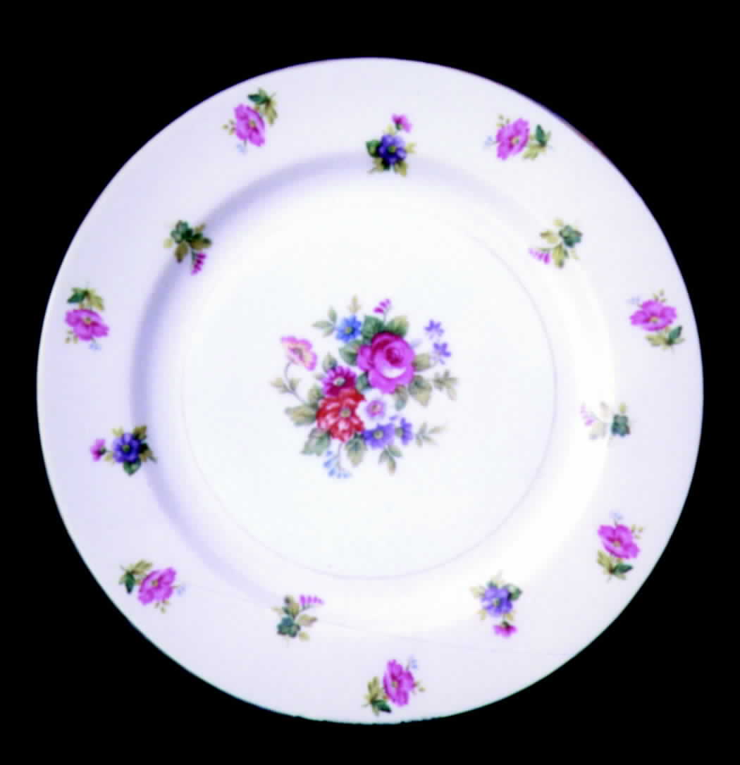 SAN41 Dinner Plate by Sango-1