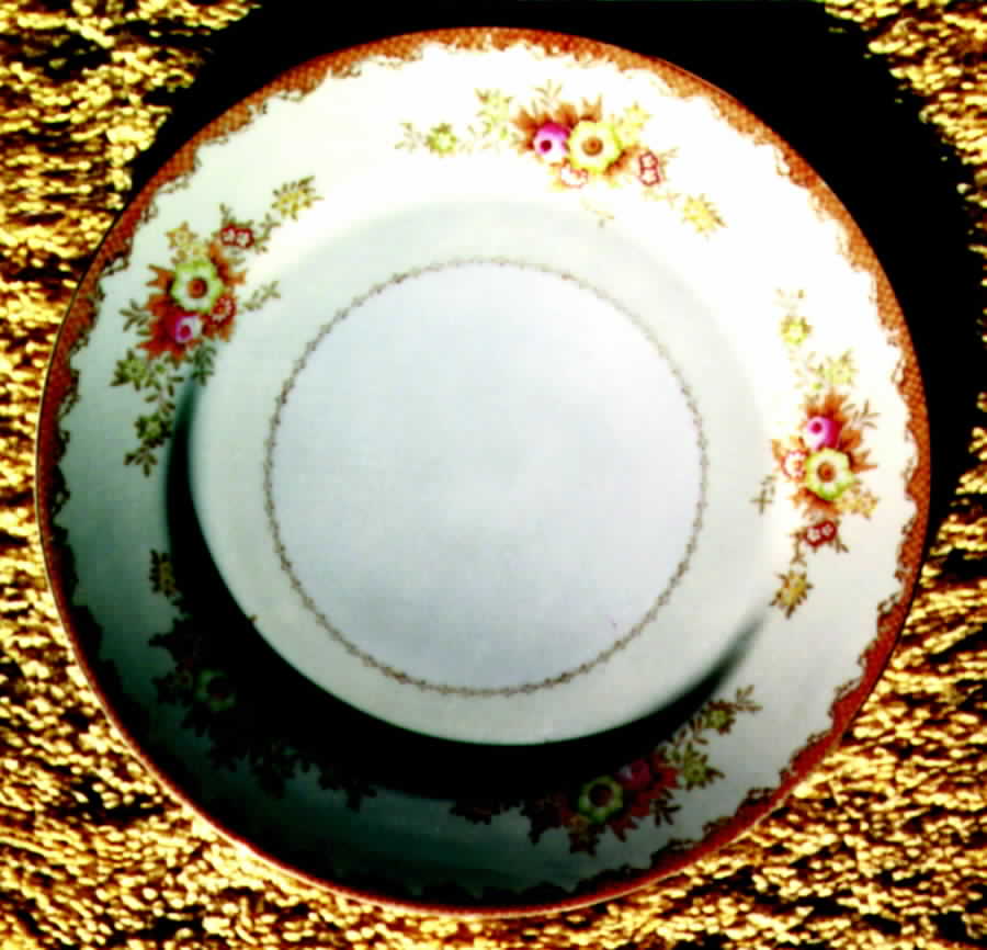 SAN42 Dinner Plate by Sango-1