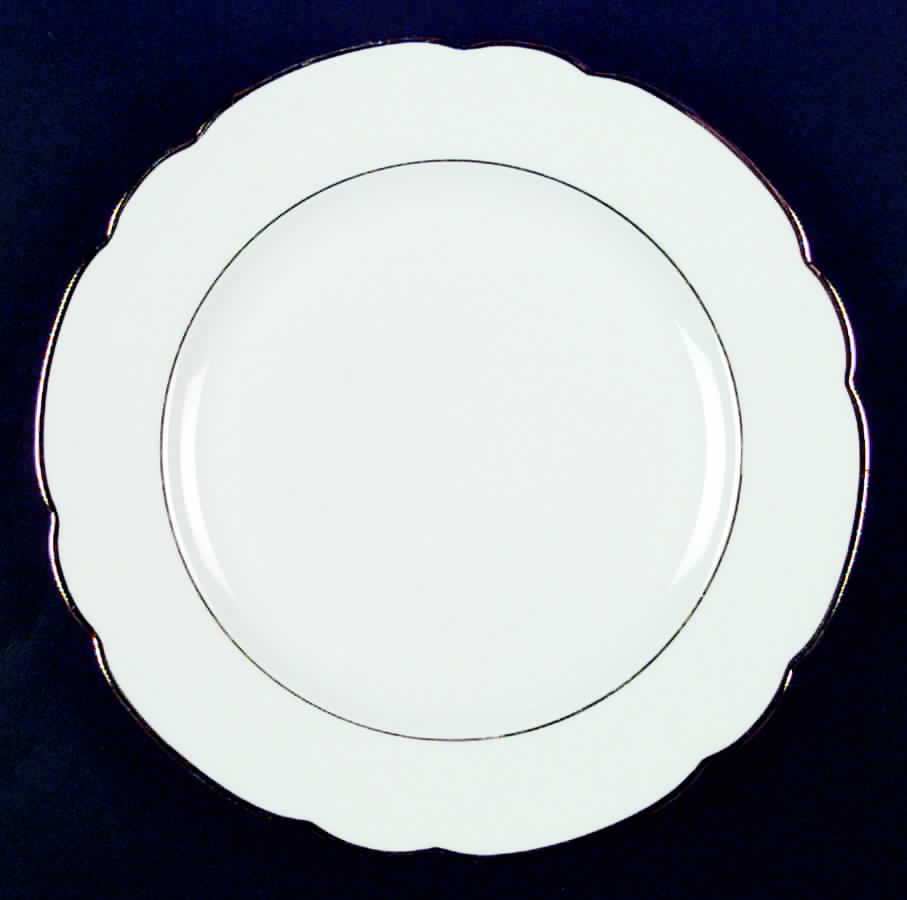 SLT120 Dinner Plate by Seltmann-1