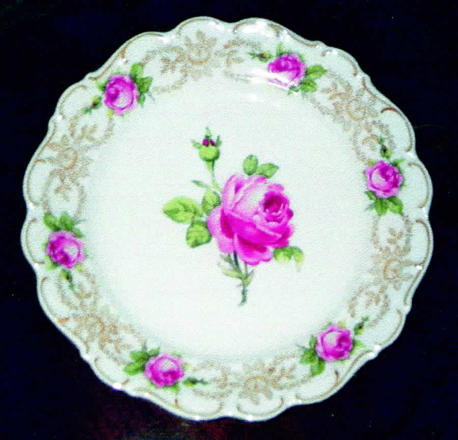 SCH181 Dinner Plate by Schumann - Bavaria-1