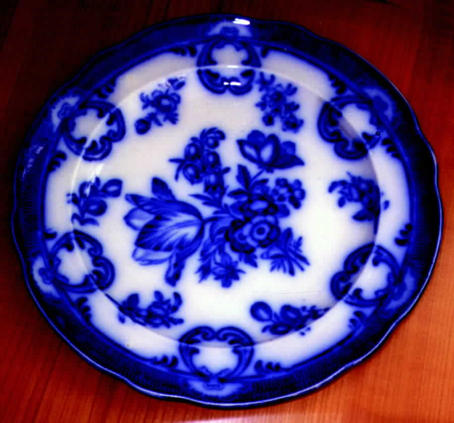 SP136 Dinner Plate by Spode-1