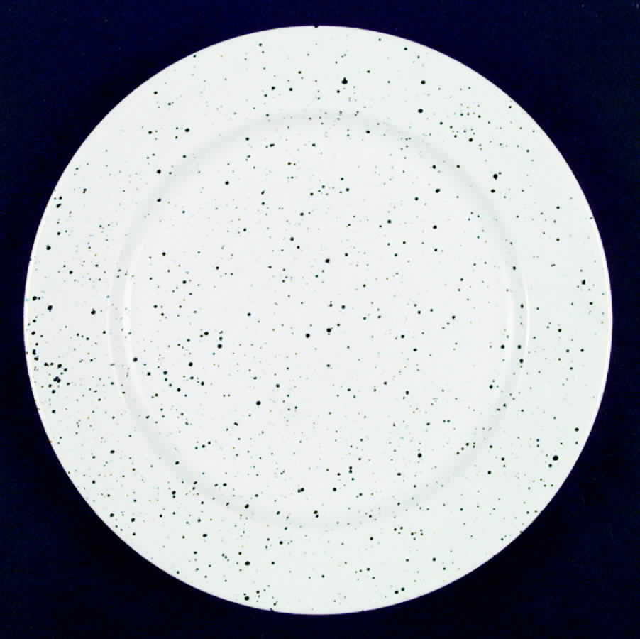 Tablerock White Dinner Plate by Signature-1