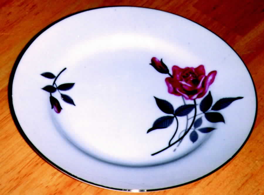 SEK1 Dinner Plate by Seiko (Japan)-1