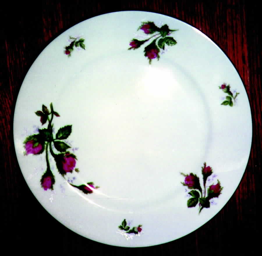 Silvia (No Trim) Dinner Plate by Spring China-1