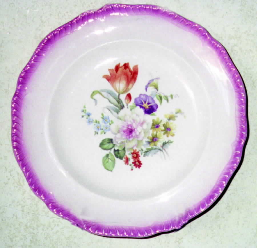 SLM159 Dinner Plate by Salem-1