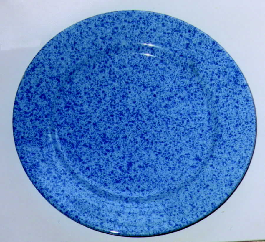 Tablerock Blue Dinner Plate by Signature-1