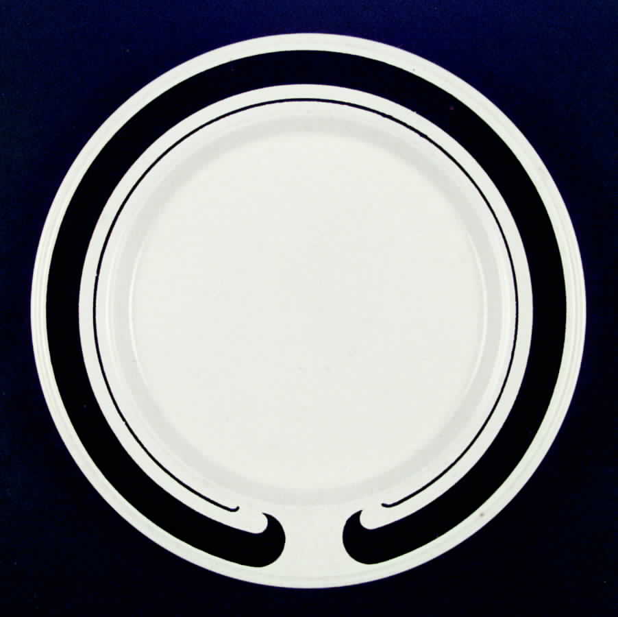 SPD5 Dinner Plate by Staffordshire Pottery-1