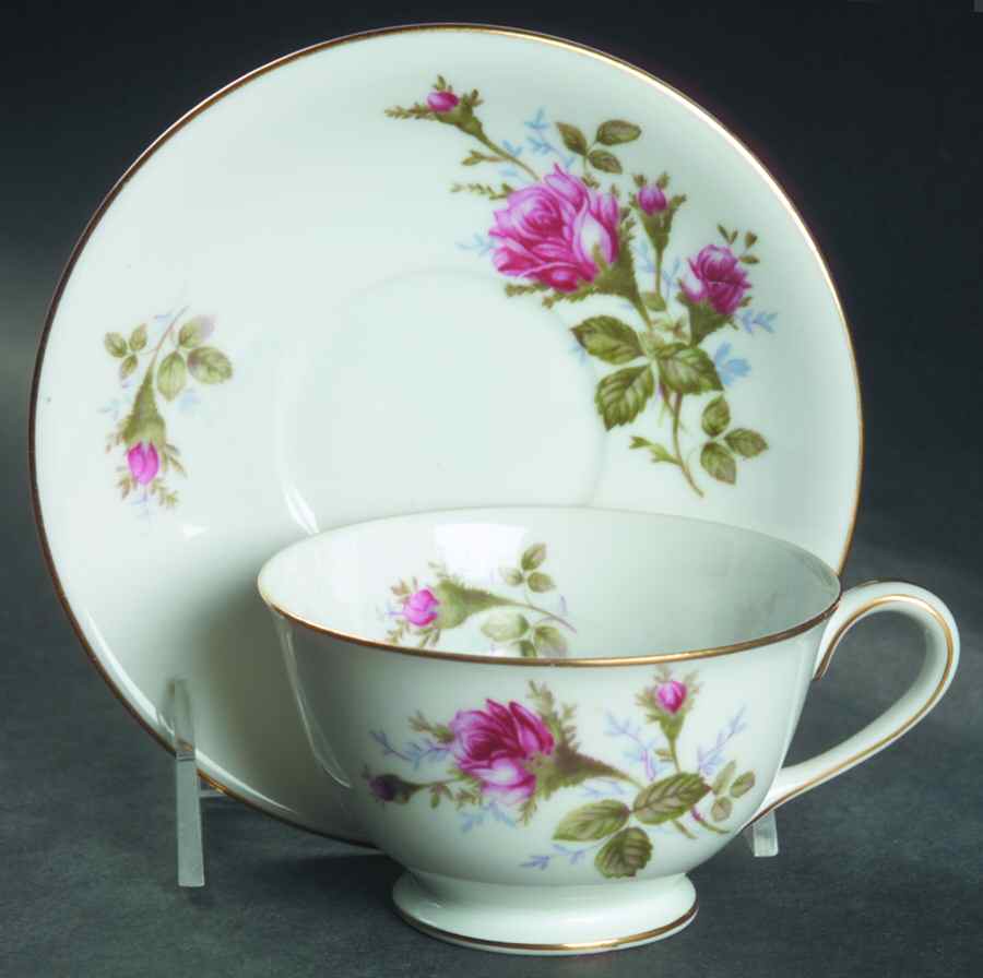 Moss Rose (Rim Shape) Footed Cup & Saucer Set by Sango-1
