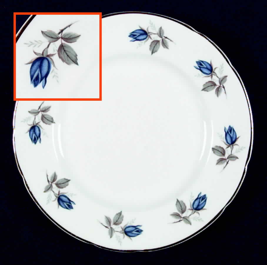 SPE3 Dinner Plate by Spencer Stevenson -1