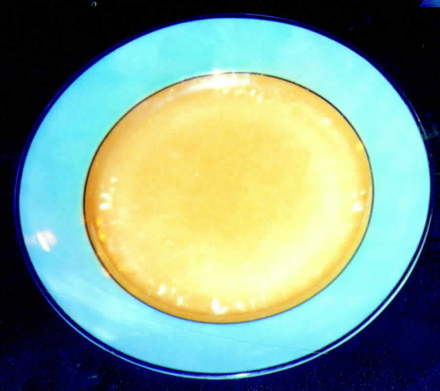 SCH194 Salad Plate by Schumann - Bavaria-1