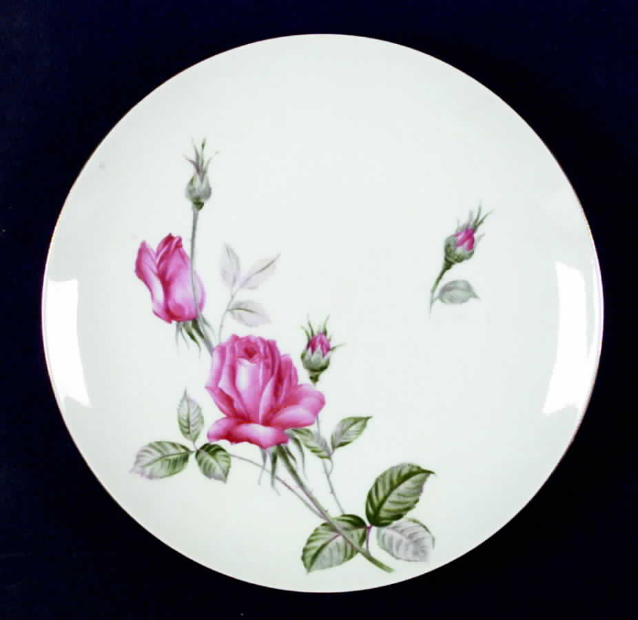 Monterey Dinner Plate by Sango-1