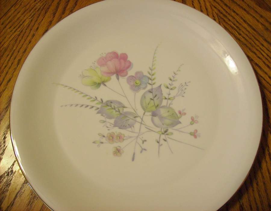 SCG8 Dinner Plate by Schirnding-1