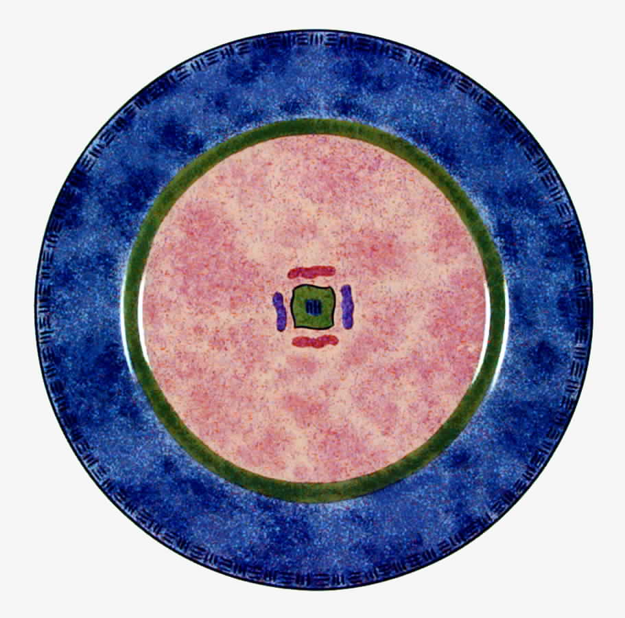 Karma Salad Plate by Sango-1