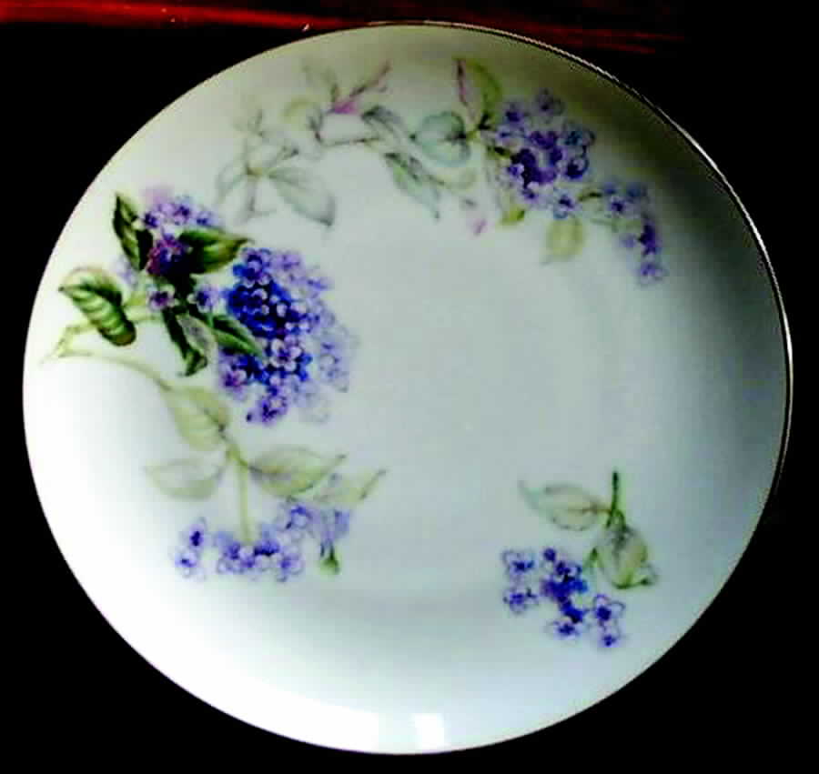 SON38 Dinner Plate by Sone-1