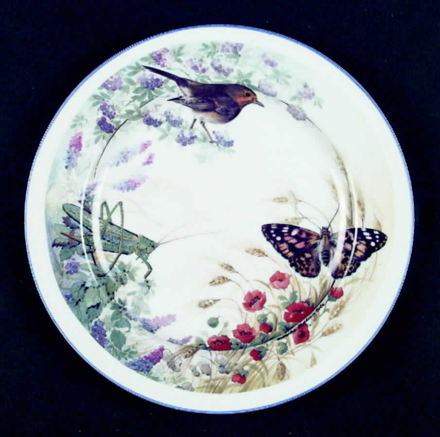 SWN2 Salad Plate by Thomas B Swain (USA)-1