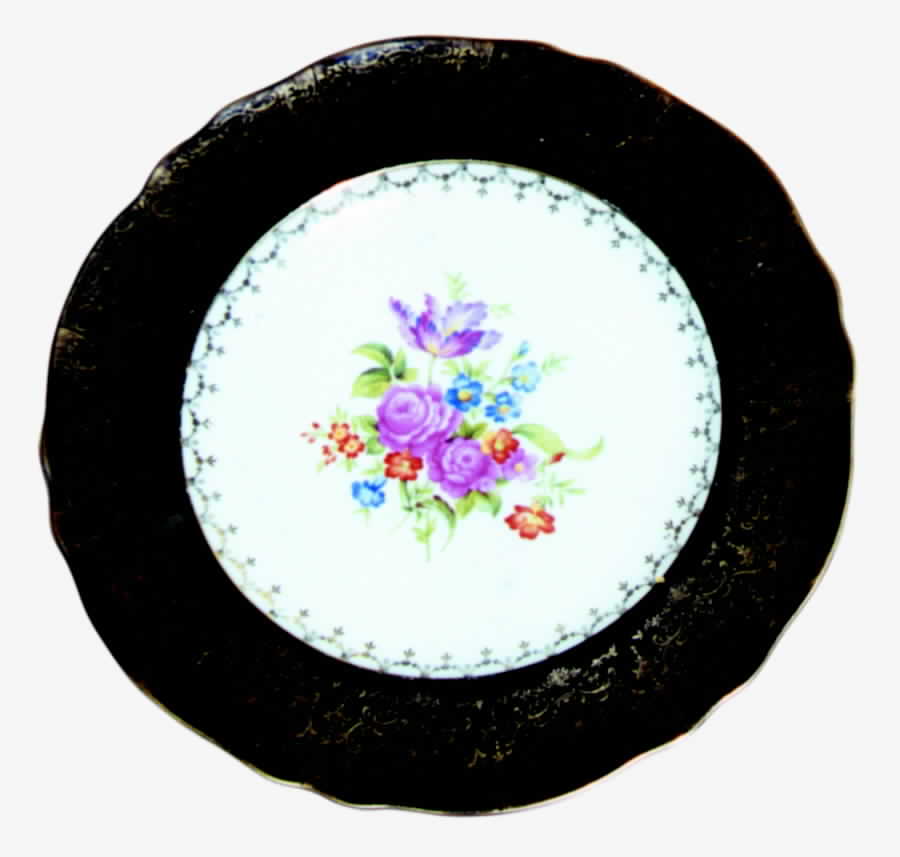 2001 Dinner Plate by Steubenville-1