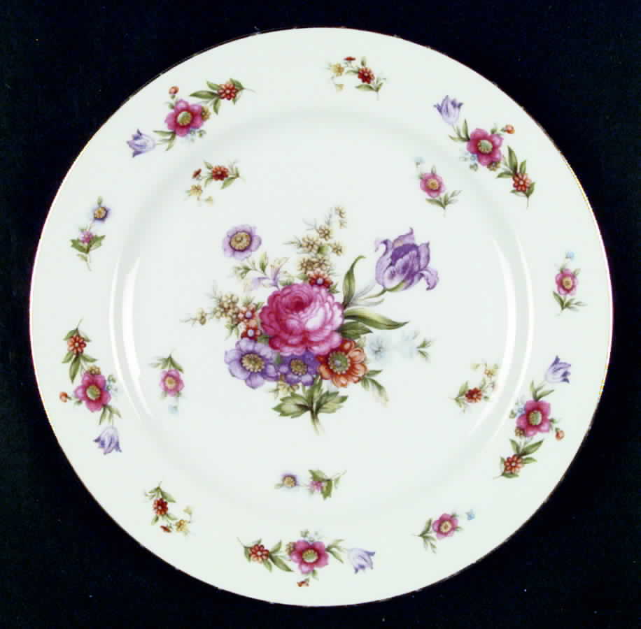 Dresdenia(Occupied Japan) Dinner Plate by Sango-1