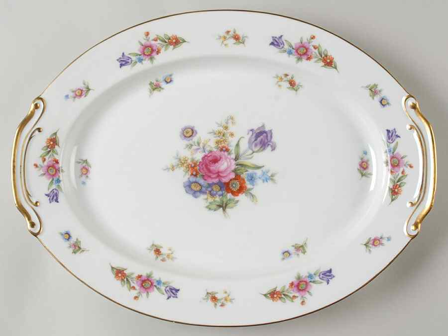 Dresdenia(Occupied Japan) 16" Oval Serving Platter by Sango-1