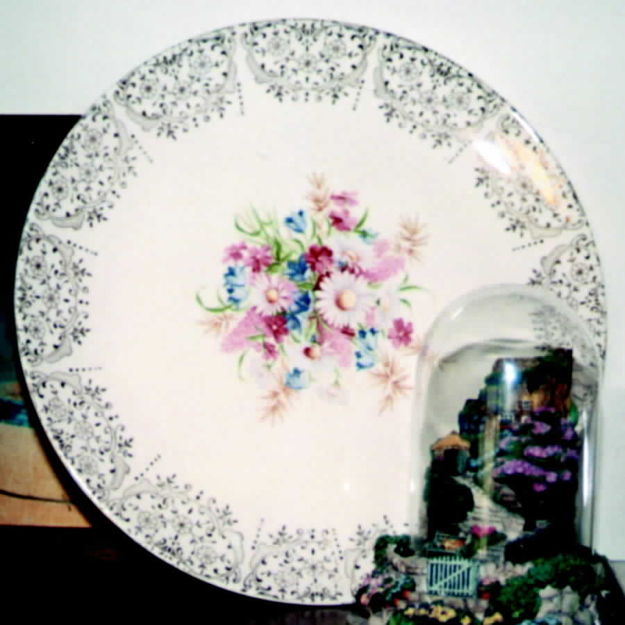 SAB48 Dinner Plate by Sabin-1