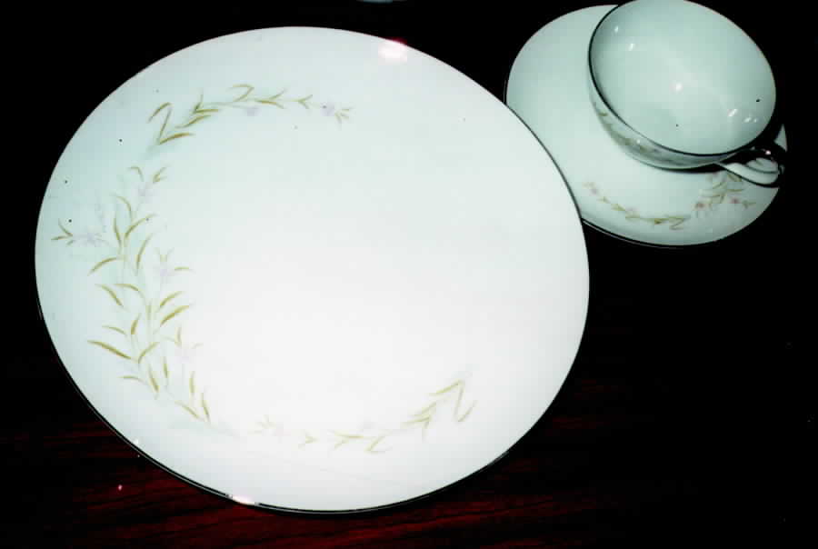 SUM14 Dinner Plate by Summit-1
