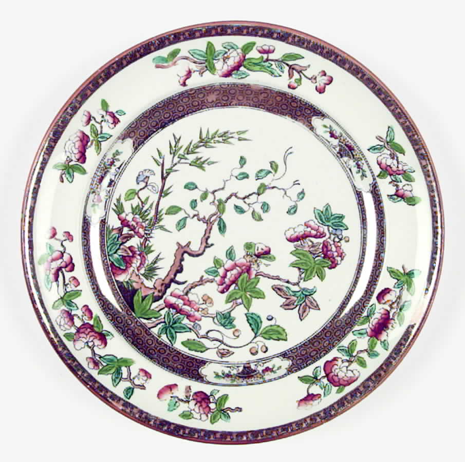 Indian Tree (Rust, Green Blue (Smooth) Salad Plate by Spode-1