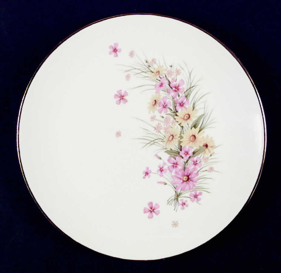SAB50 Dinner Plate by Sabin-1