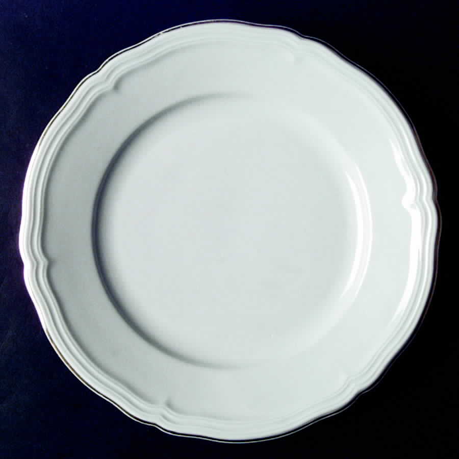 SLT128 Dinner Plate by Seltmann-1