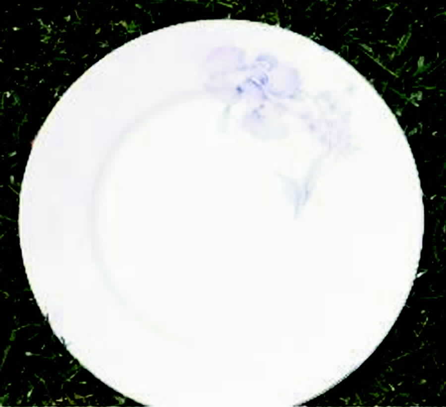 SCR88 Dinner Plate by Scherzer-1