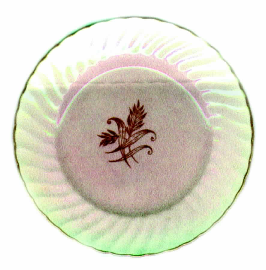 SWI24 Dinner Plate by Swinnertons-1