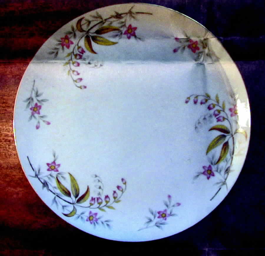 SON40 Dinner Plate by Sone-1