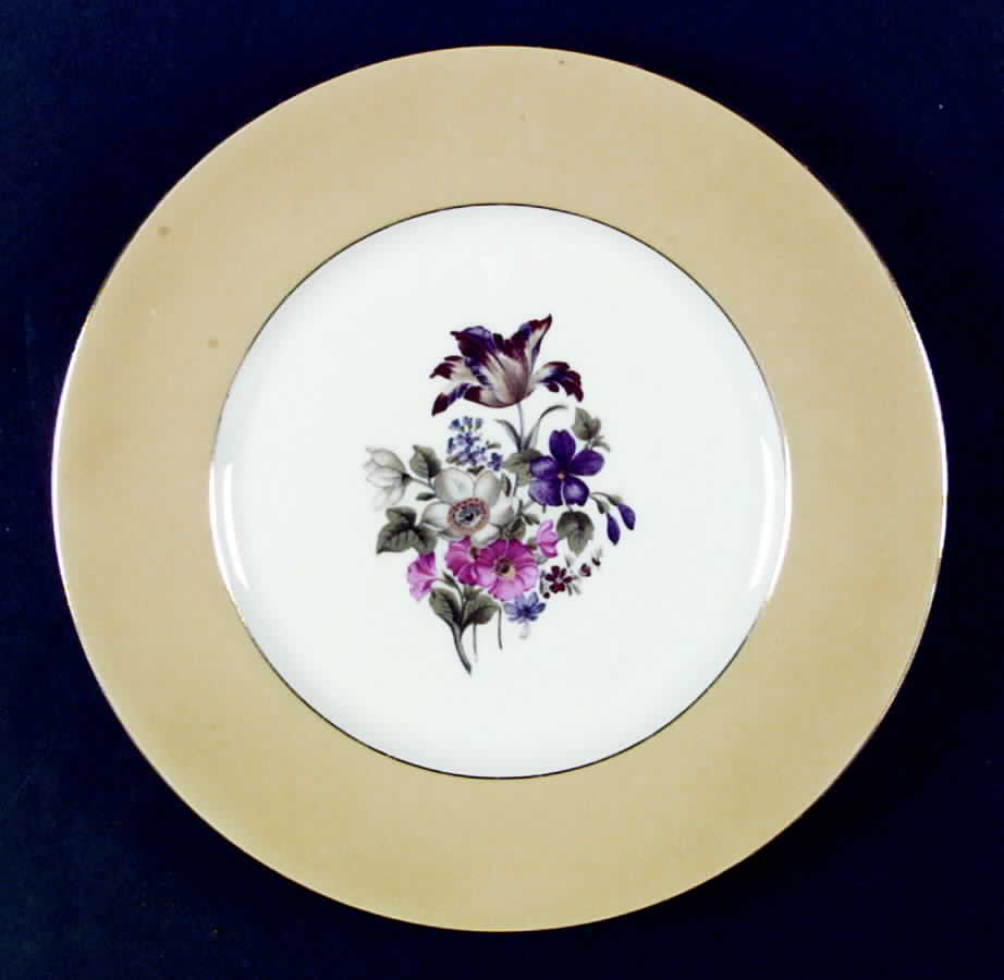 HCZ239 Yellow Dinner Plate by Haas-Czjzek Coronado-1