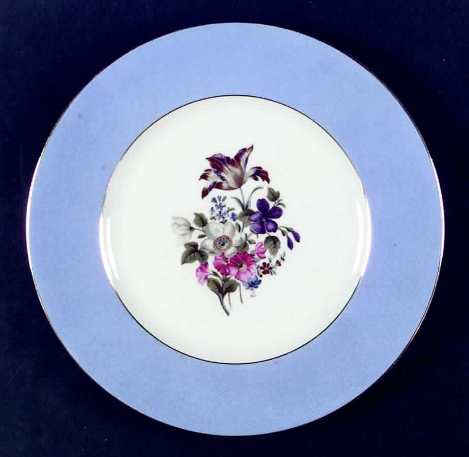 HCZ239 Blue Dinner Plate by Haas-Czjzek Coronado-1