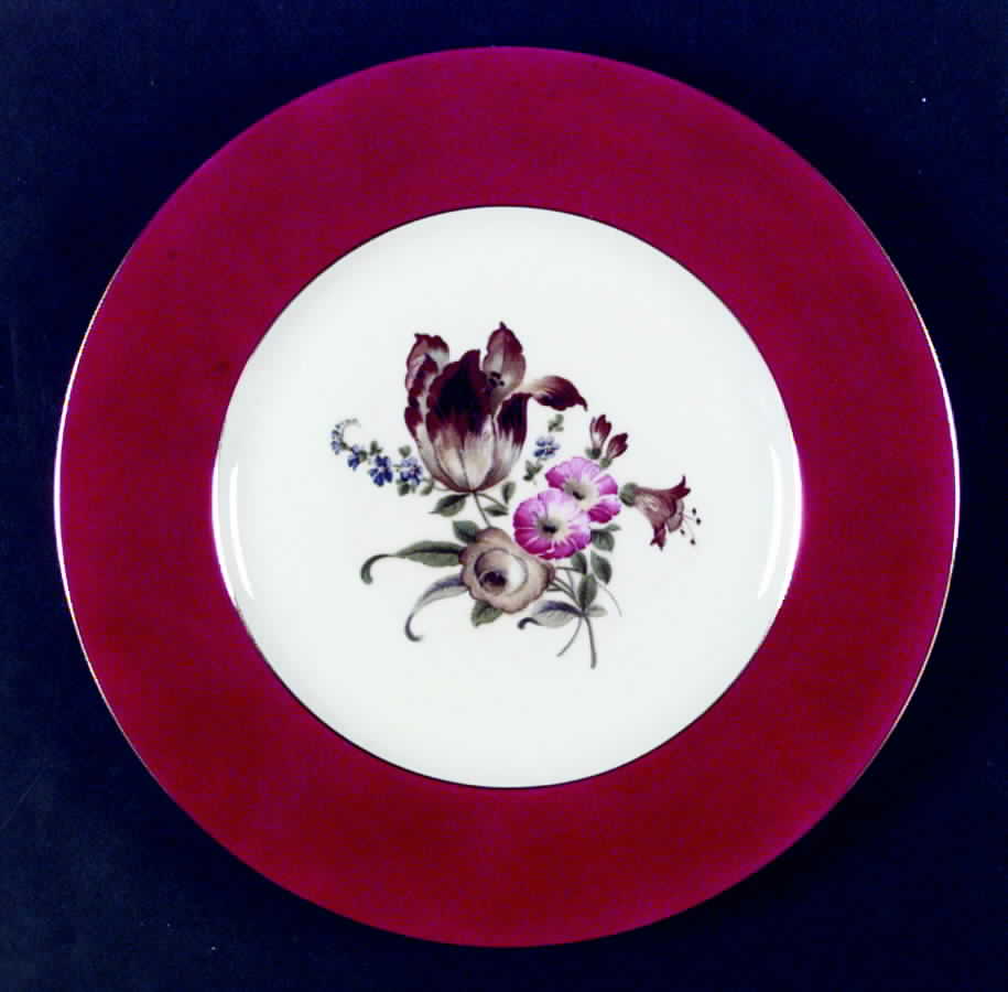 HCZ239 Red Dinner Plate by Haas-Czjzek Coronado-1