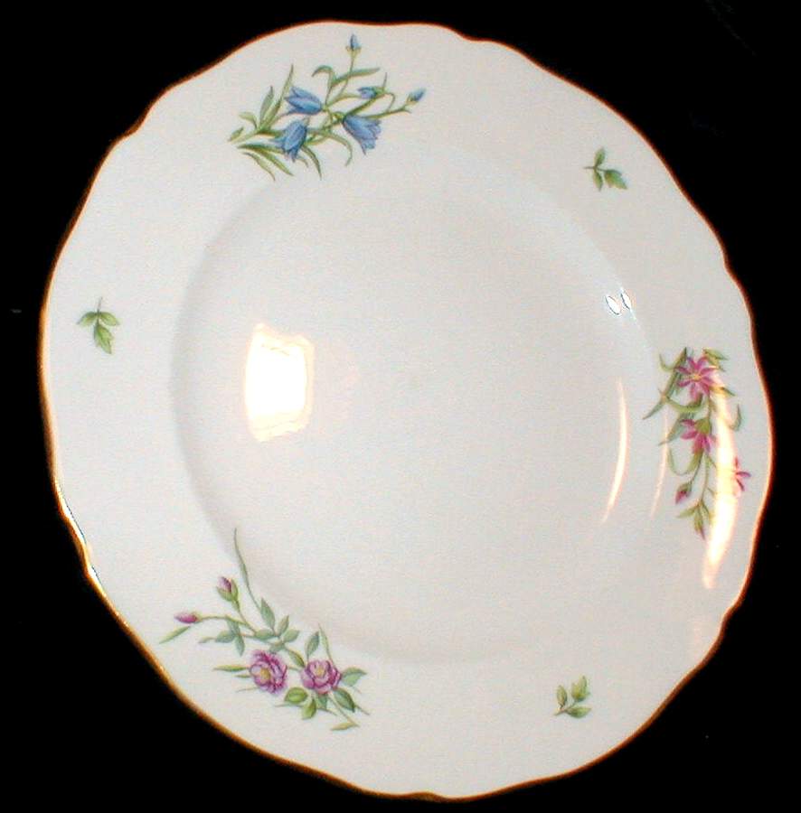 SP151 Dinner Plate by Spode-1