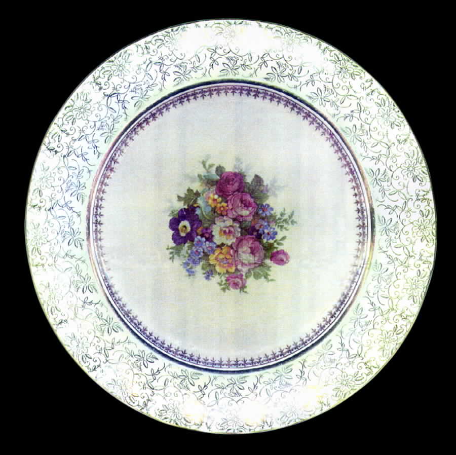 STB140 Dinner Plate by Steubenville-1