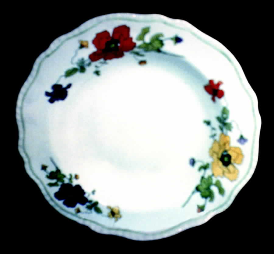 STB141 Dinner Plate by Steubenville-1