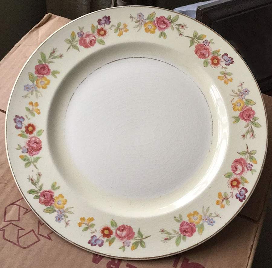 STB147 Dinner Plate by Steubenville-1