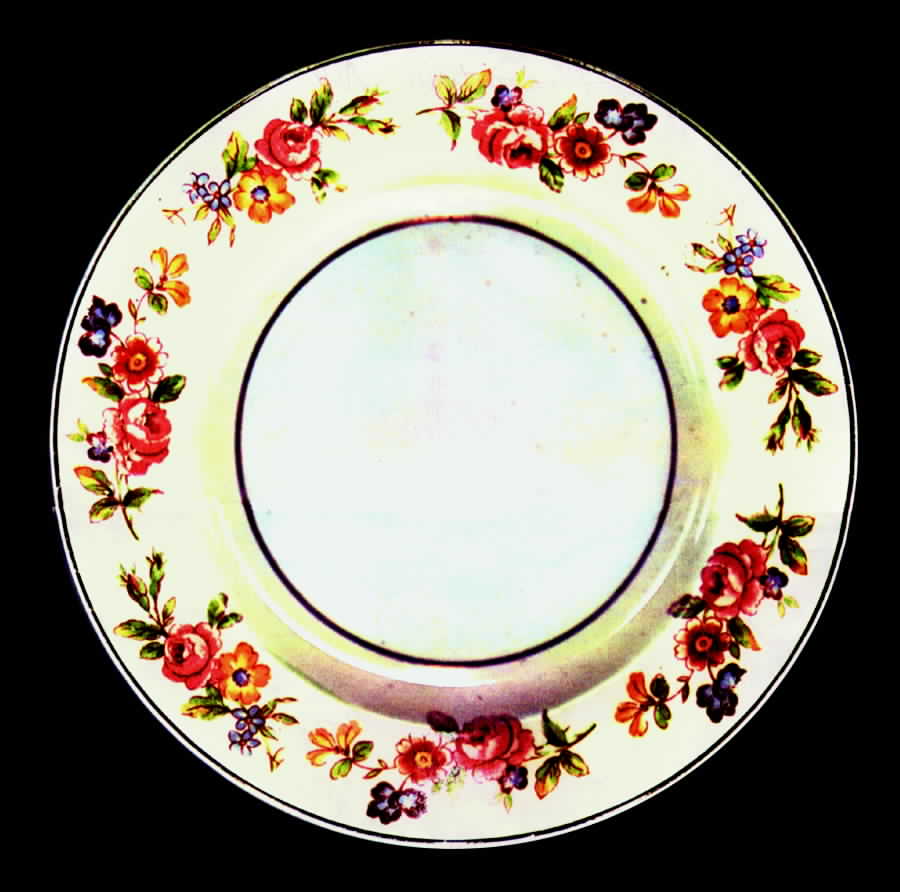 STB147 Salad Plate by Steubenville-1