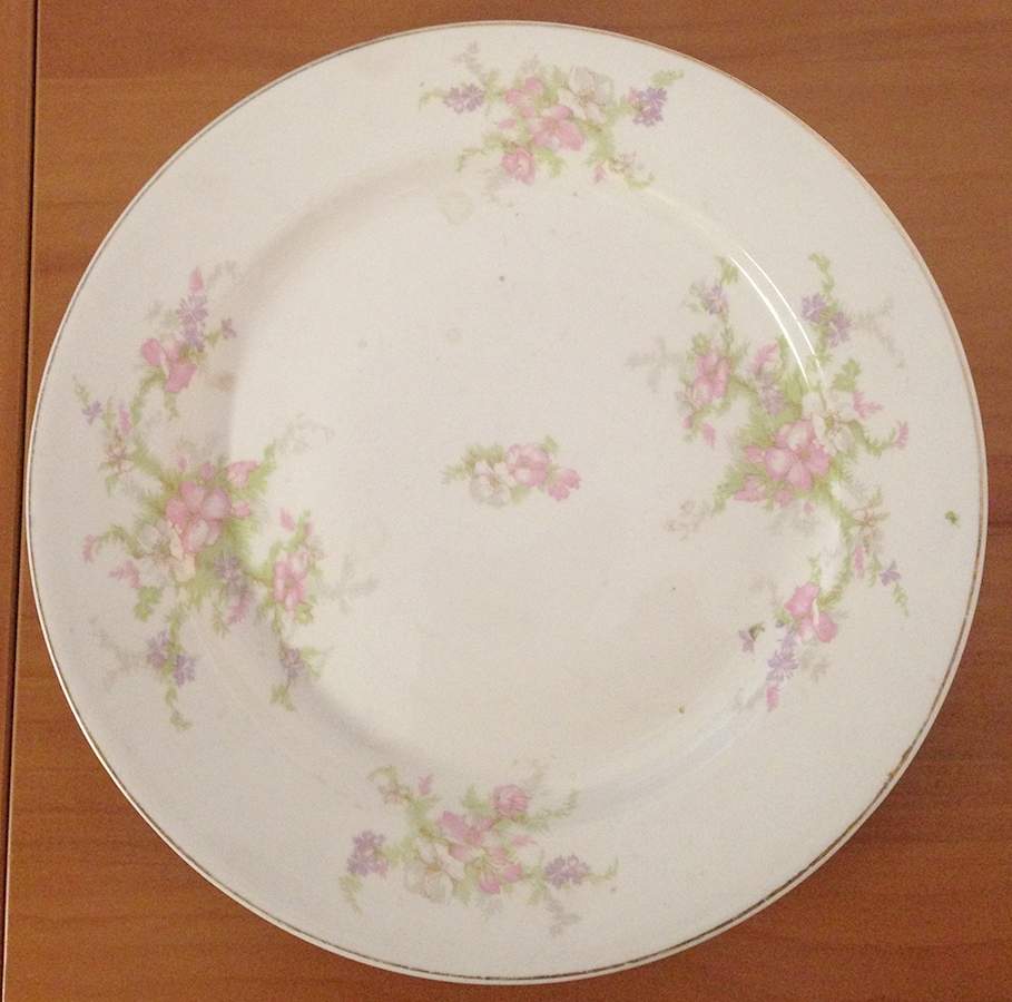 STB149 Dinner Plate by Steubenville-1