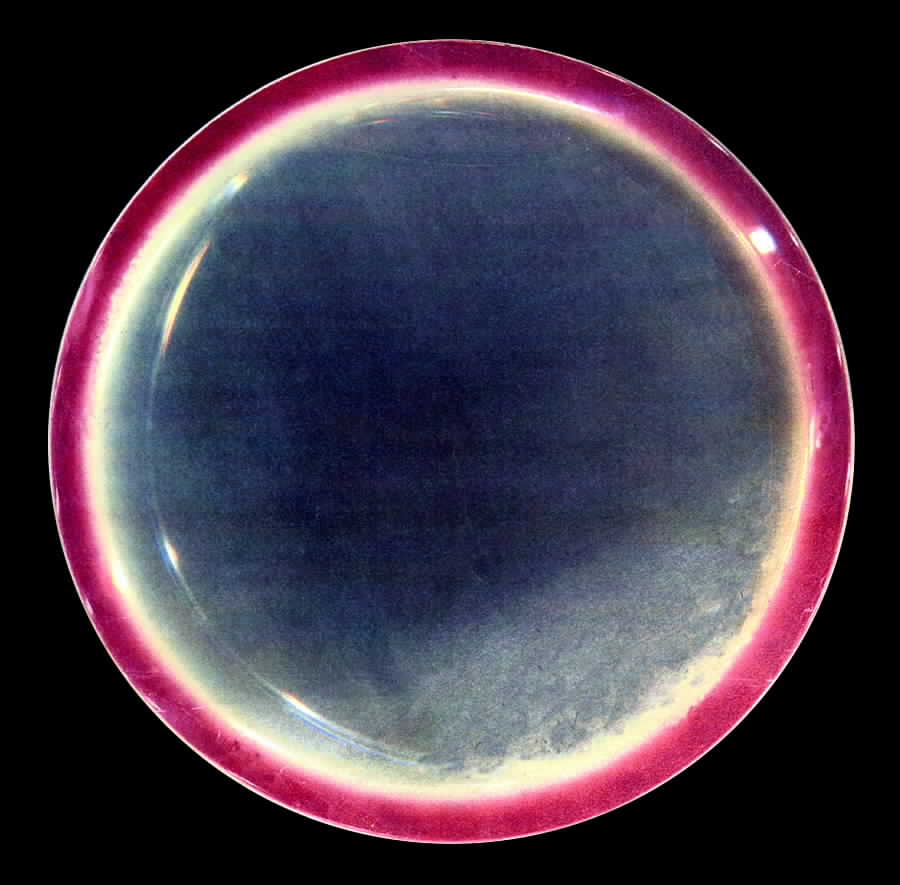 SHO120 Dinner Plate by Shenango-1